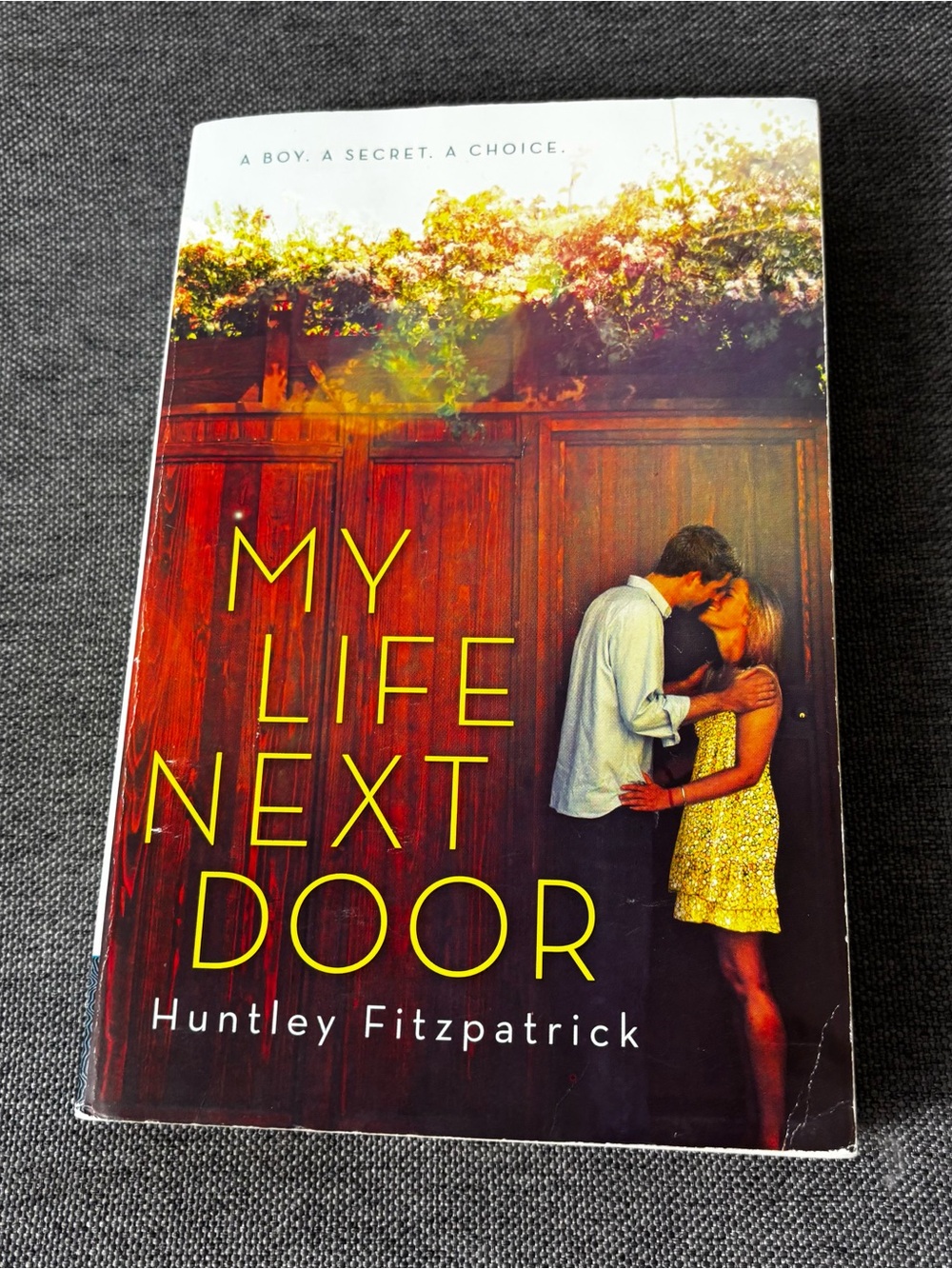 My Life Next Door by Huntley Fitzpatrick - YA Romance Paperback